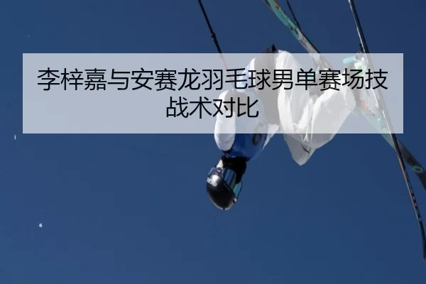 李梓嘉与安赛龙羽毛球男单赛场技战术对比